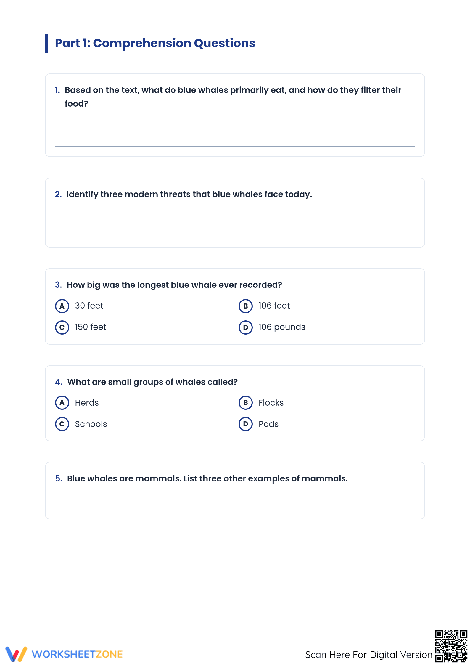 Blue Whale Informational Text | Essential Grade 5-9 Reading - Page 3