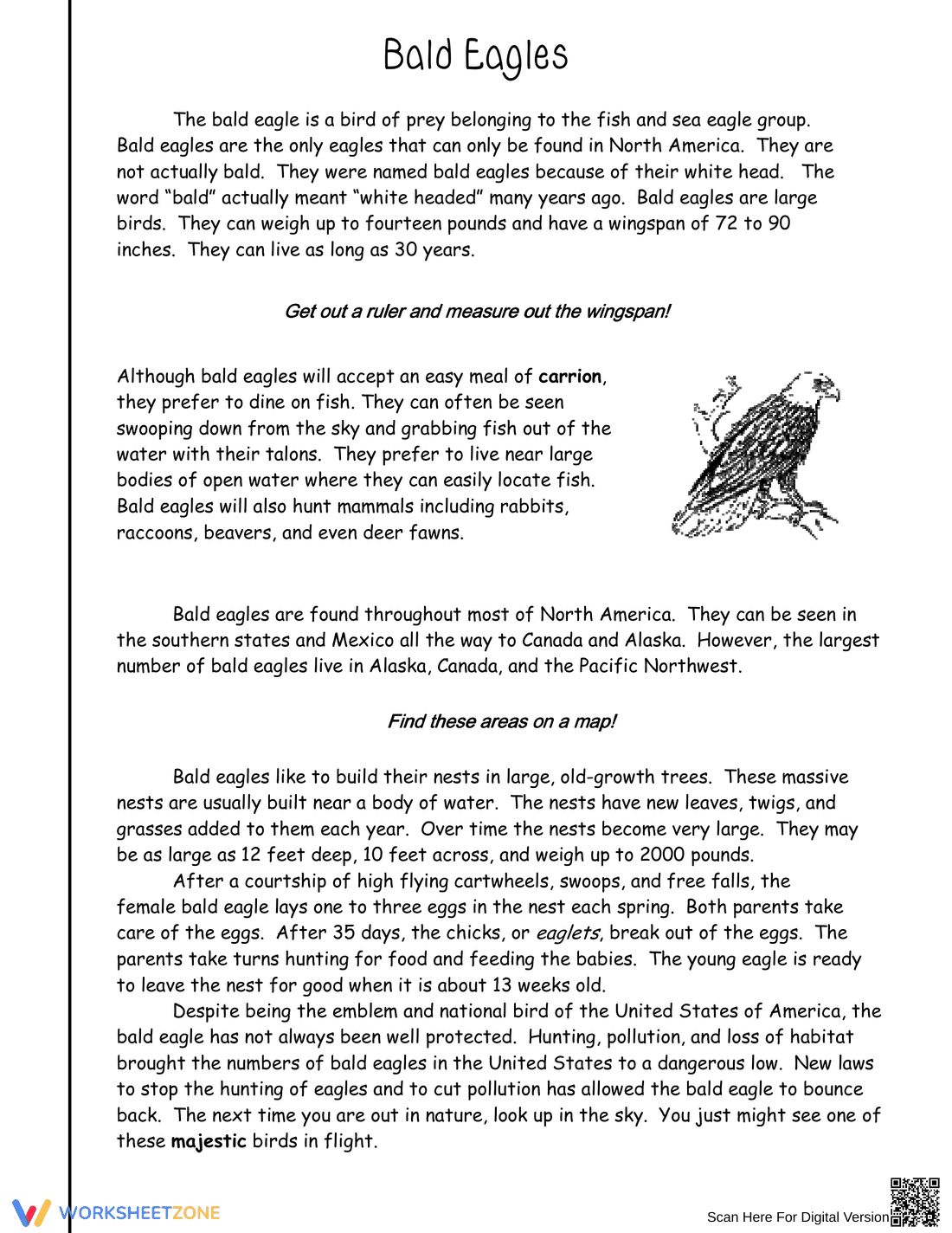 Grade 5 Bald Eagles — Printable No-Prep Worksheet - Page 2