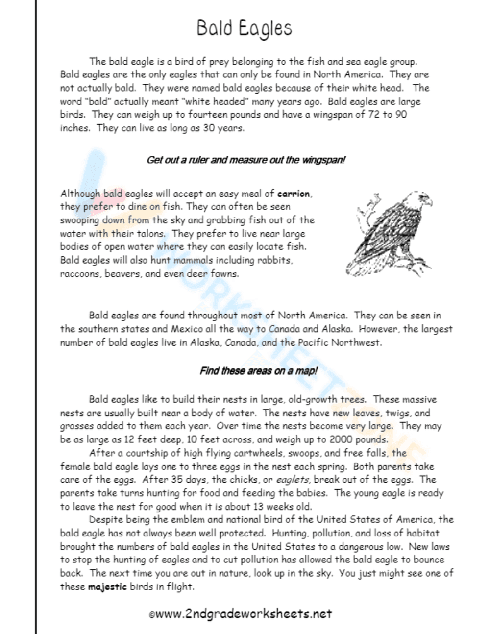 informational text 8 - Page 2