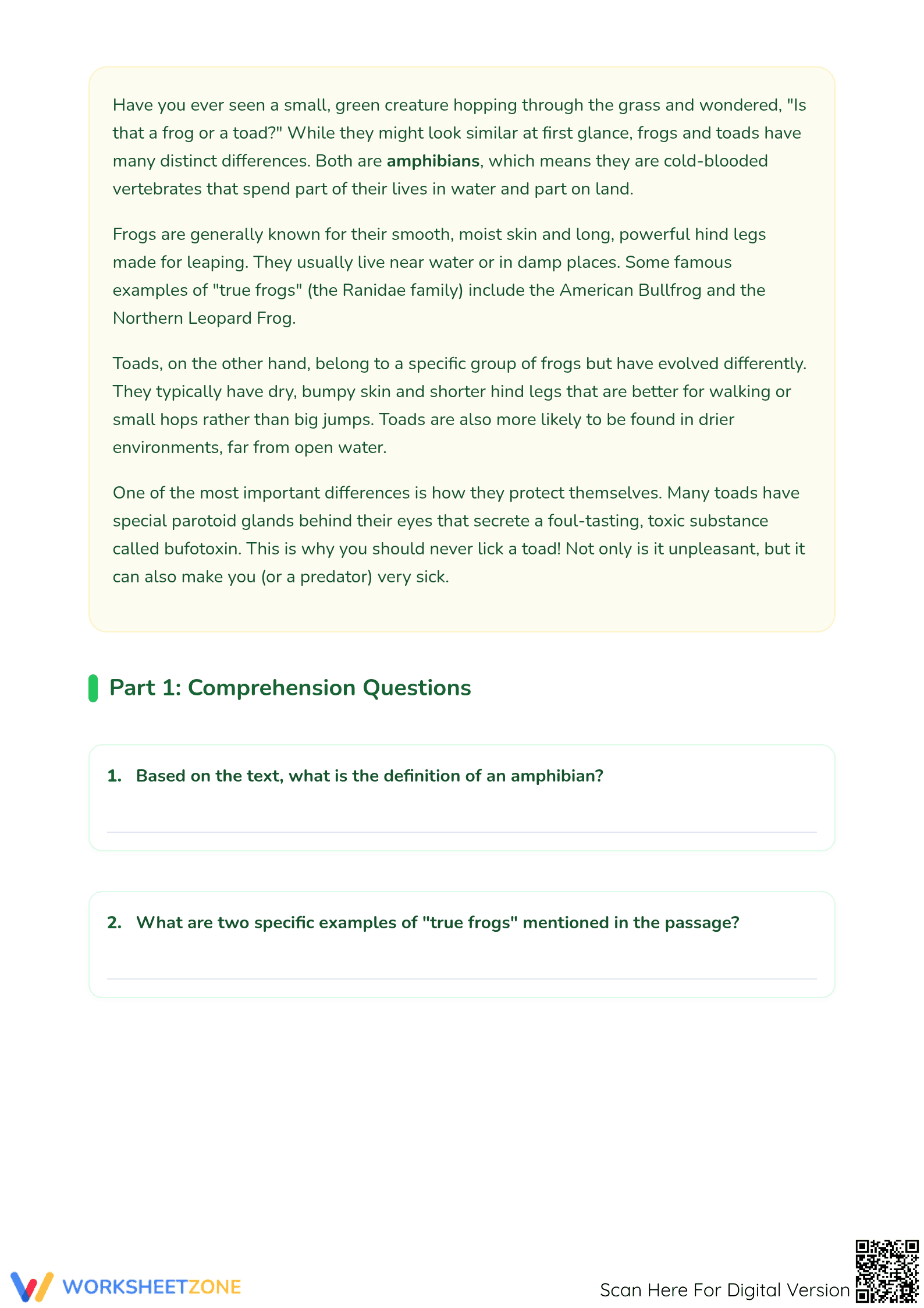 Frog or Toad? Essential Compare and Contrast Worksheet - Page 2