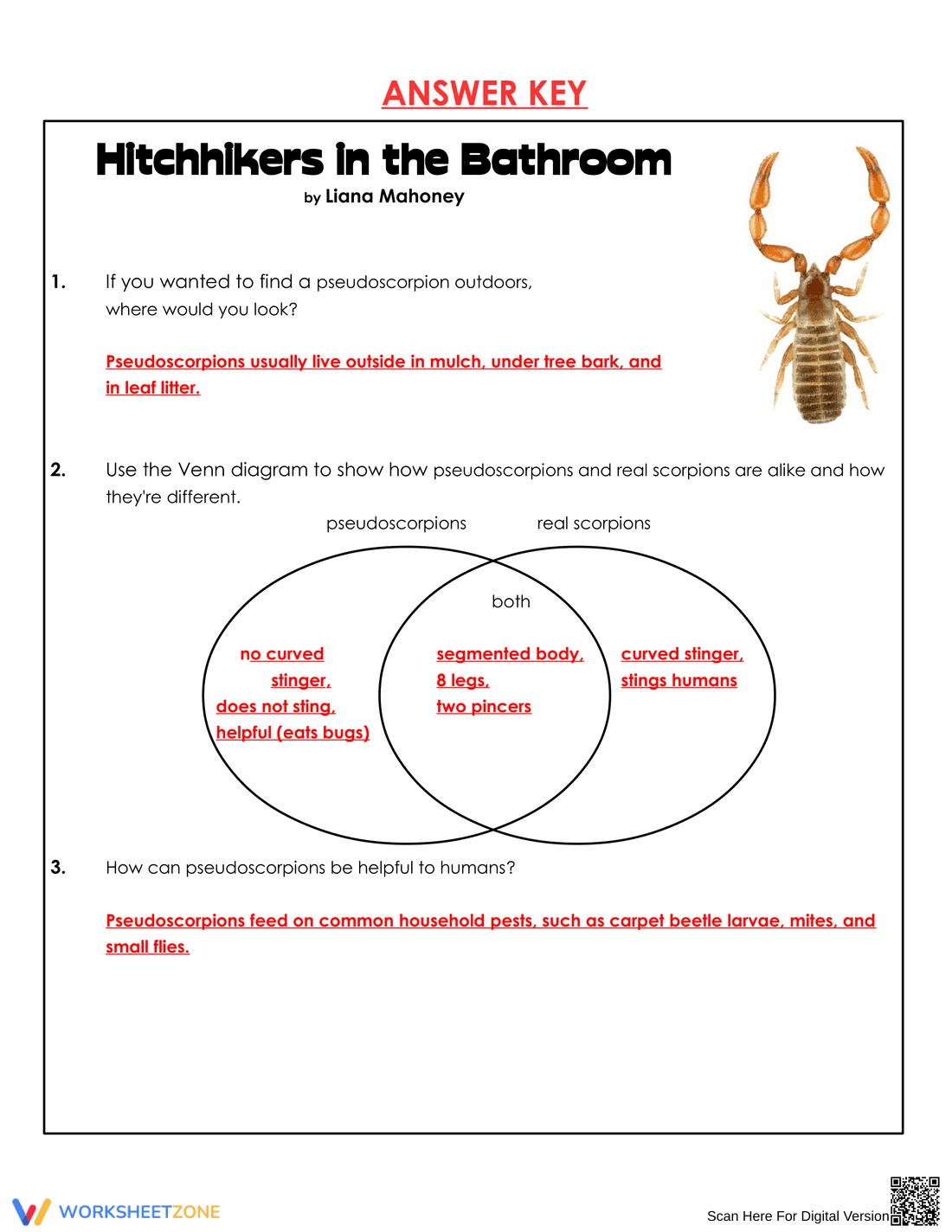 Grade 5 Reading Comprehension — Printable No-Prep Worksheet - Page 4