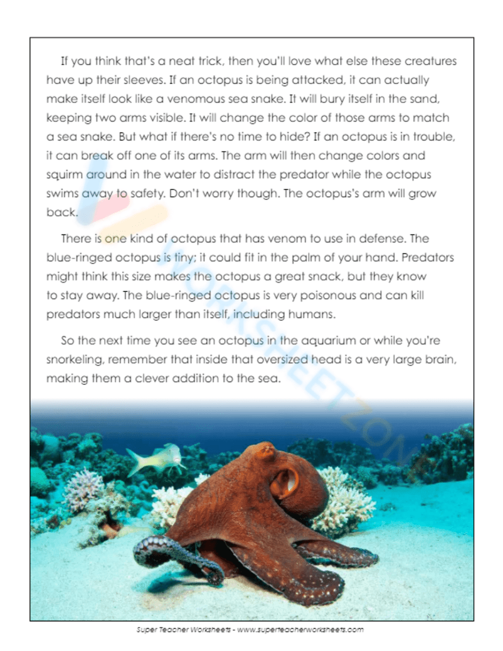 Grade 4 Octopus Reading Passage — Printable ELA - Page 2