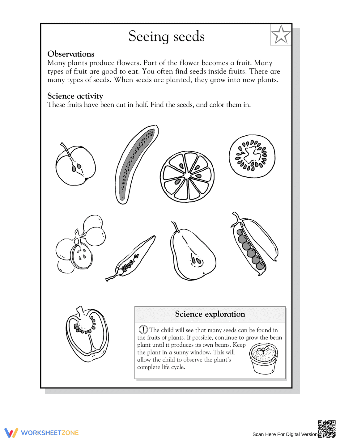 Science Worksheet for 2nd Graders - Page 2