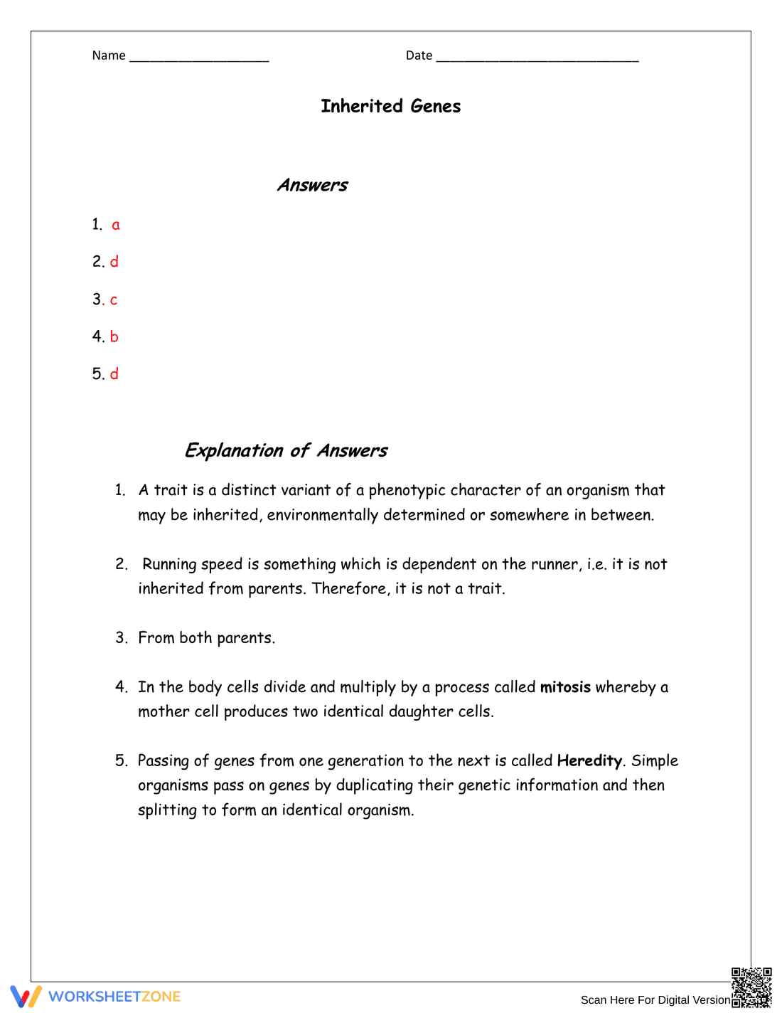 Science Skill-Building Worksheet for 4th - Page 3