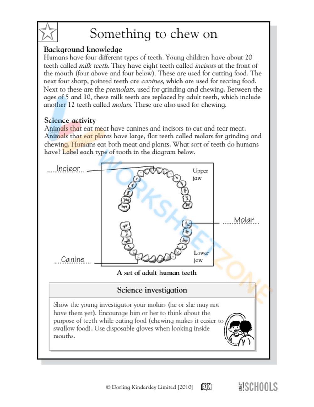 Enhancing Science Learning 5th Grade - Page 2