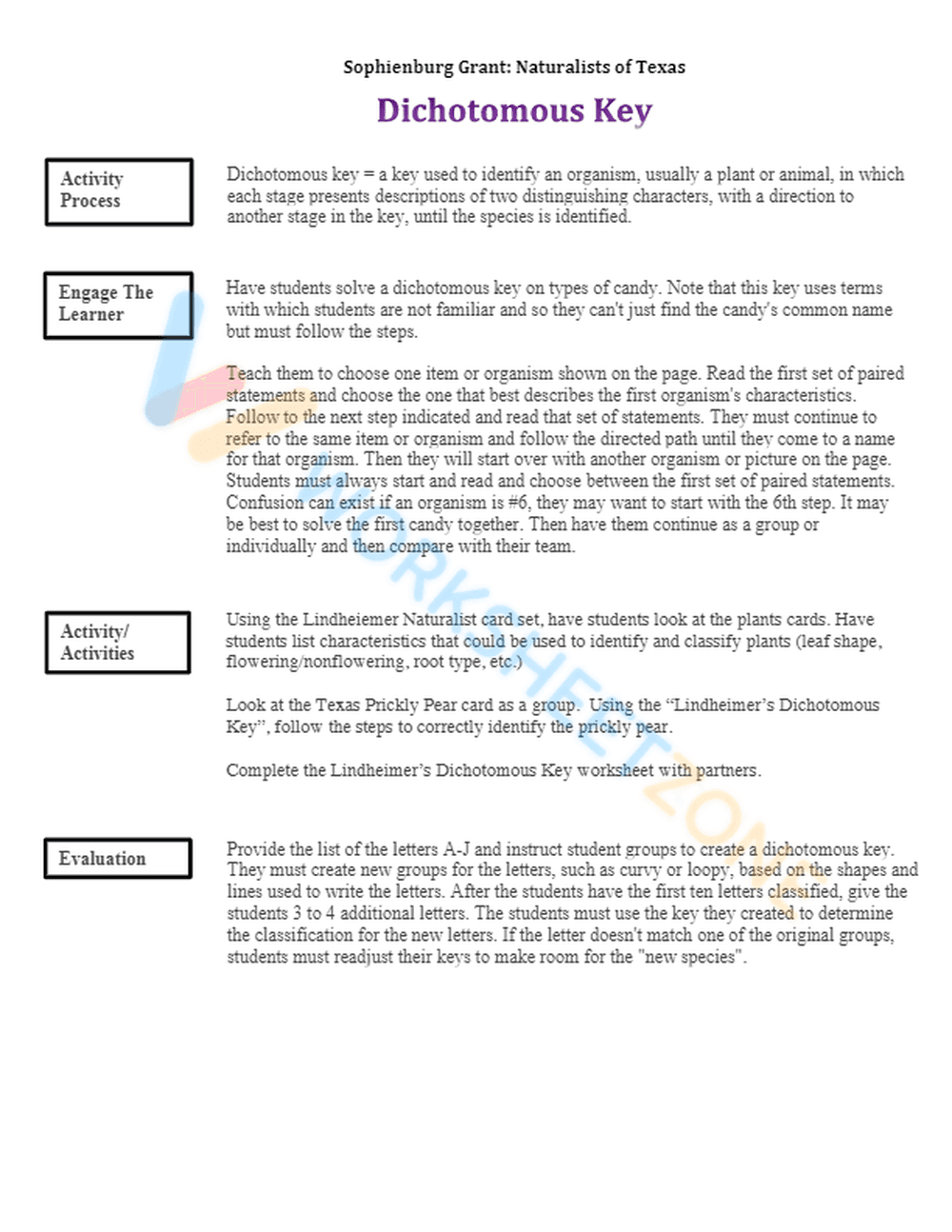 Printable Dichotomous Key Worksheet | Grade 7 Science - Page 2
