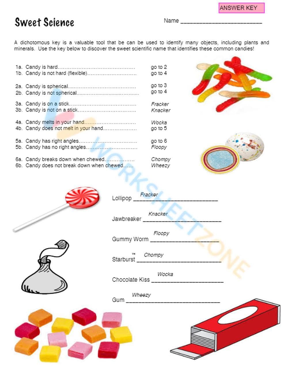 Printable Dichotomous Key Worksheet | Grade 7 Science - Page 7