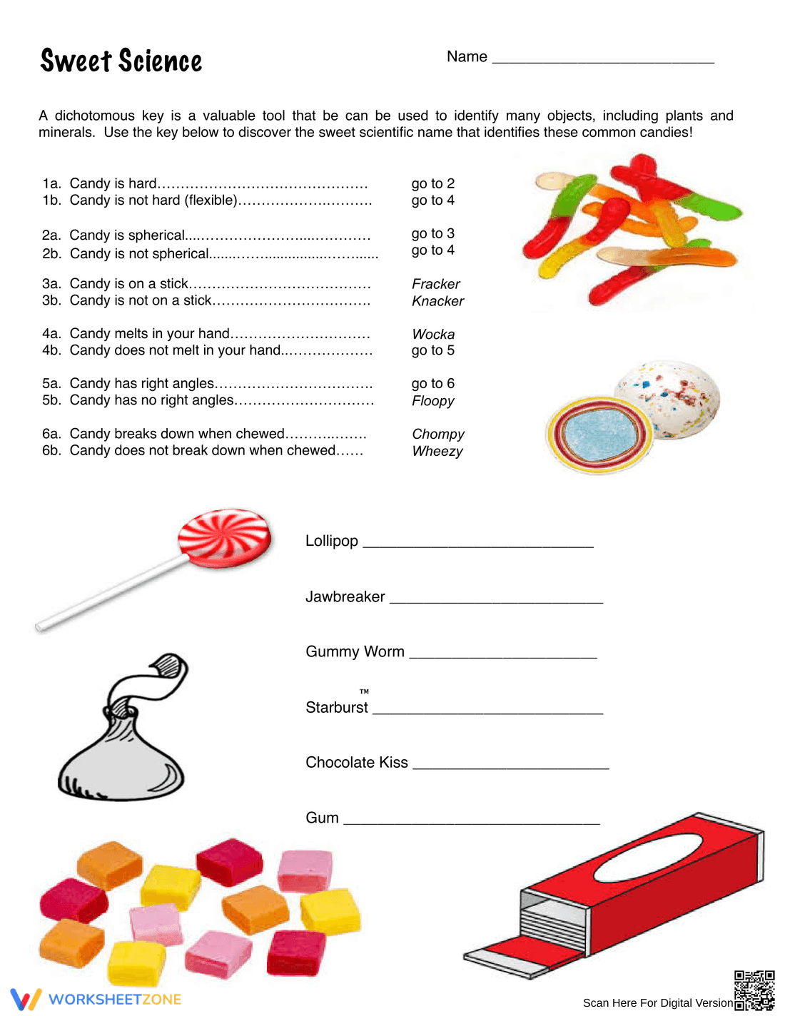 Printable Dichotomous Key Worksheet | Grade 7 Science - Page 3
