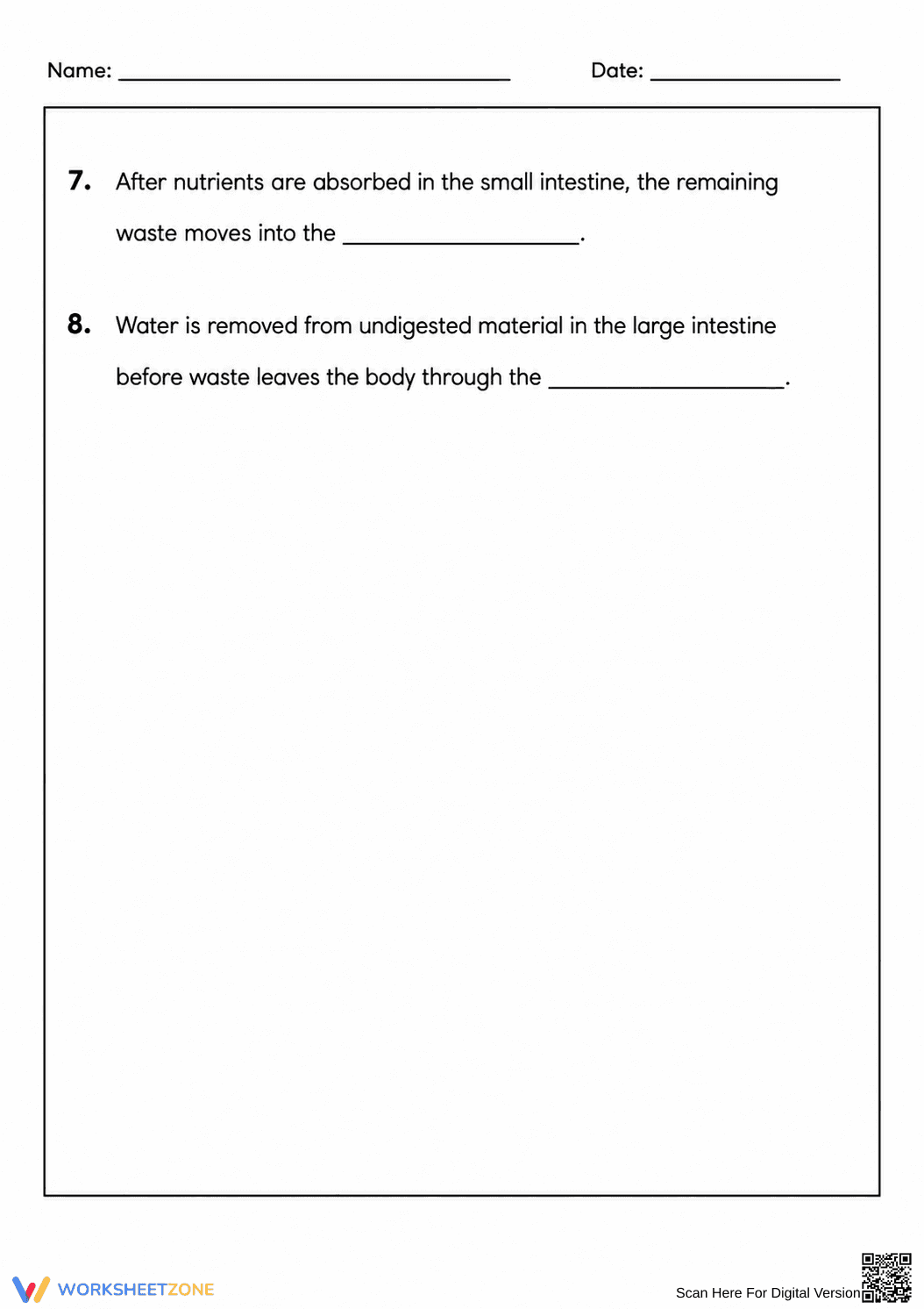 Digestive System Worksheet | Grade 7-12 Printable - Page 2