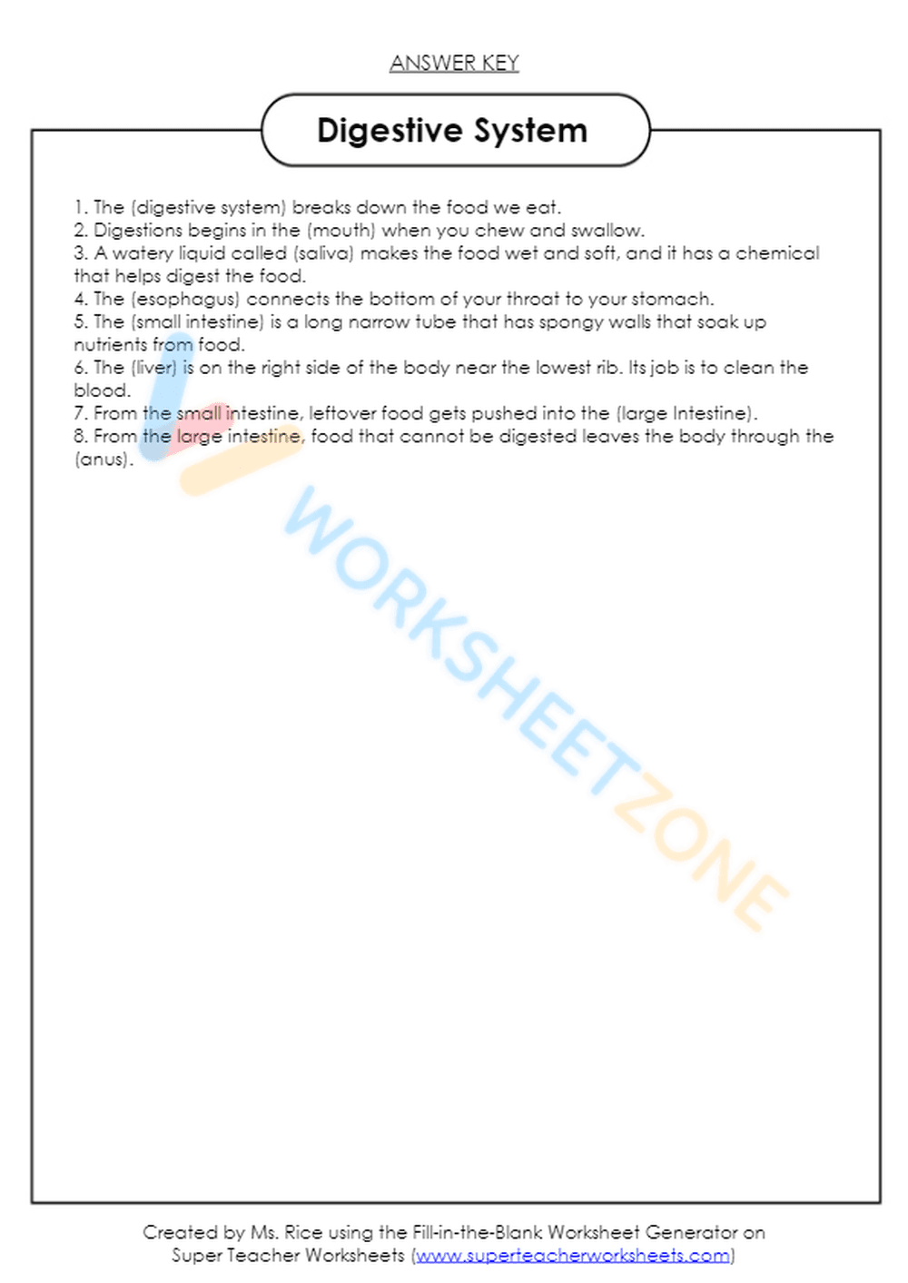 Digestive System Worksheet | Grade 7-12 Essential - Page 3