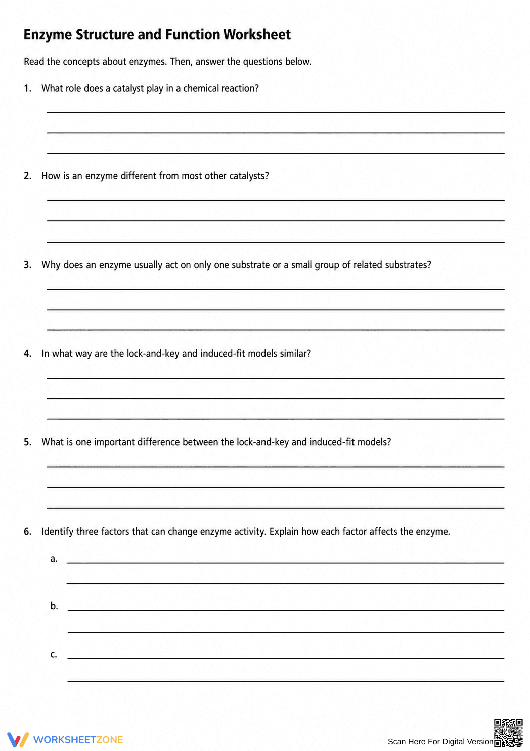 Enzyme Structure and Function Worksheet | Grade 9-12 Ready - Page 3
