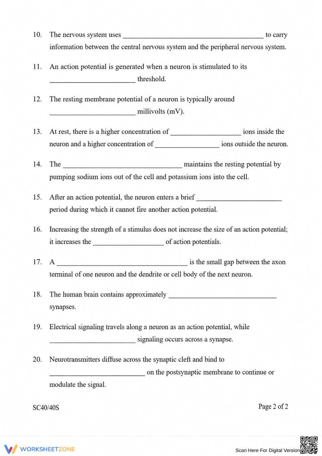 Nervous System Printable Worksheet | Grade 9-12 Biology - Page 2
