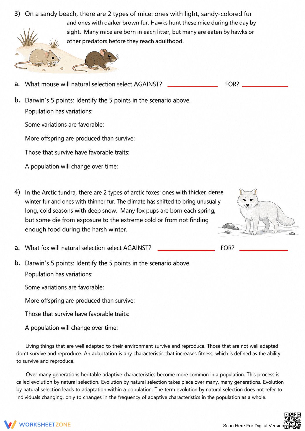 Grade 9 Natural Selection — Printable No-Prep Worksheet - Page 2