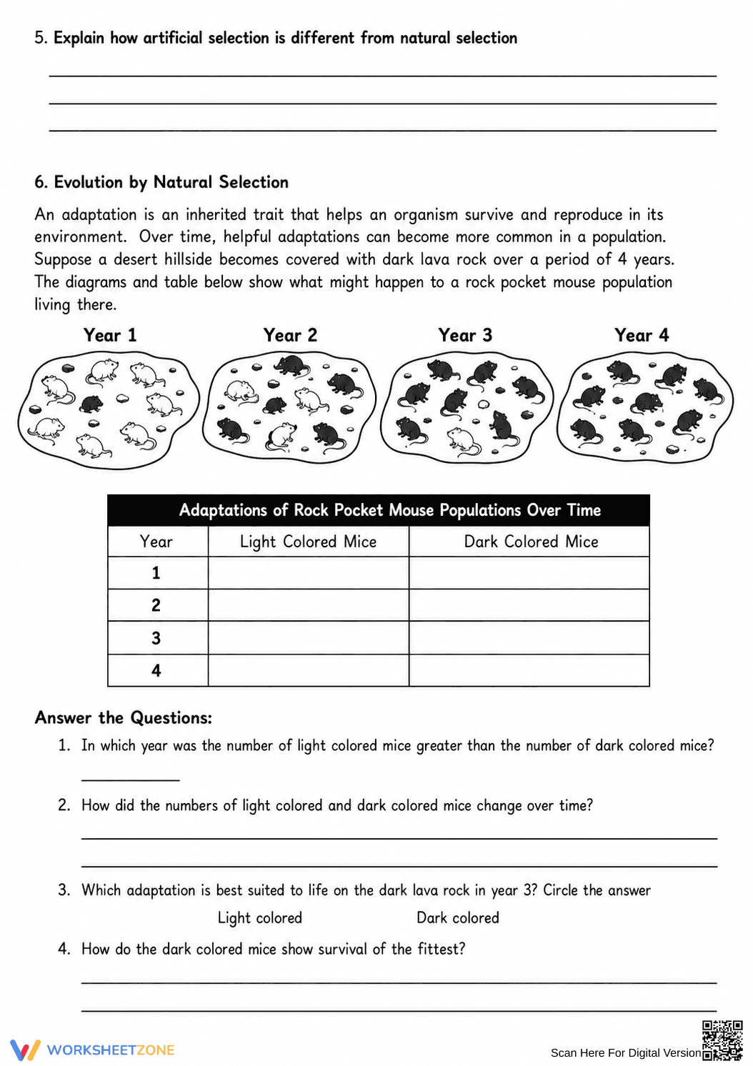 Natural Selection & Evolution Worksheet | Essential Biology - Page 2