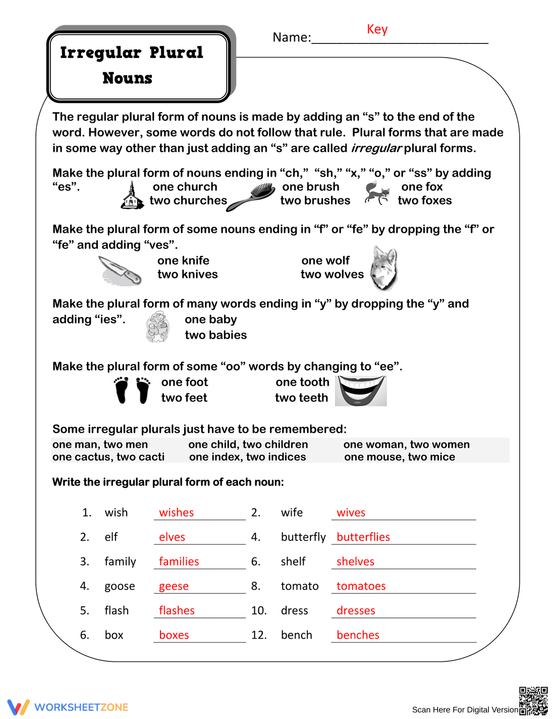 Irregular Plural Nouns Worksheet: Learn Singular and Plural Forms - Page 2