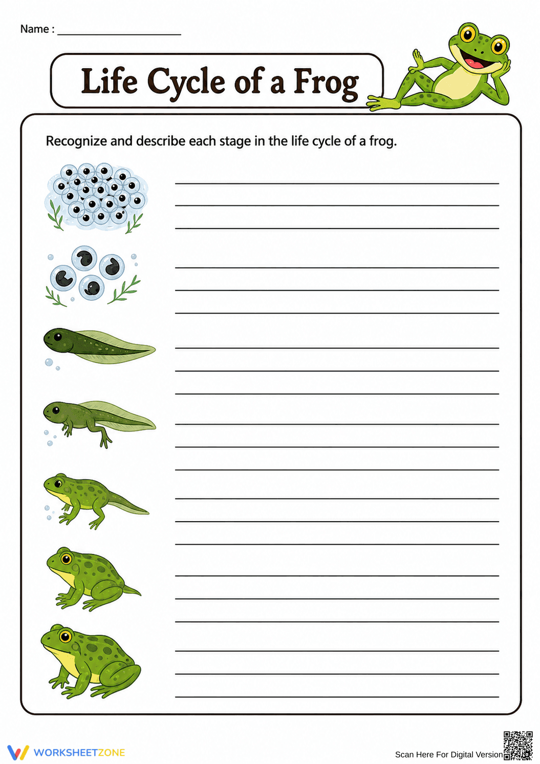 Frog Life Cycle Worksheet | Grade 3 Essential Science - Page 2