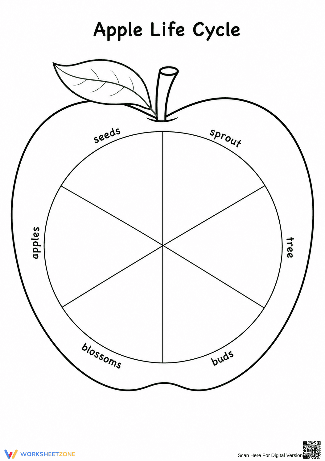 Printable Apple Life Cycle Worksheet | Grade 2-5 Science - Page 3
