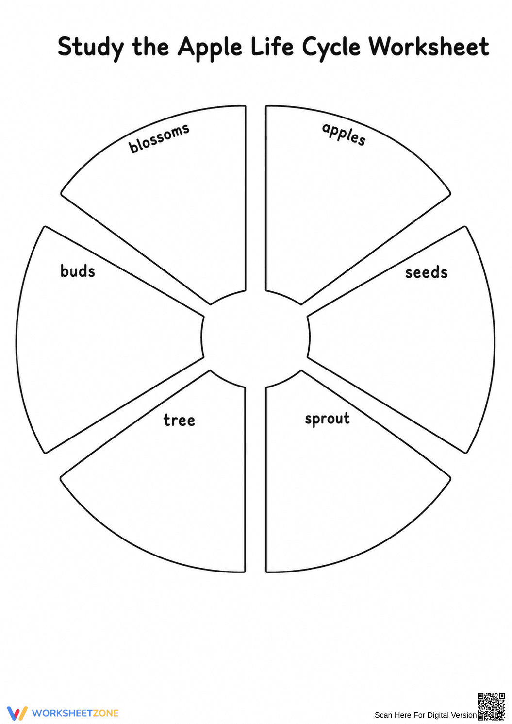 Printable Apple Life Cycle Worksheet | Grade 2-5 Science - Page 4