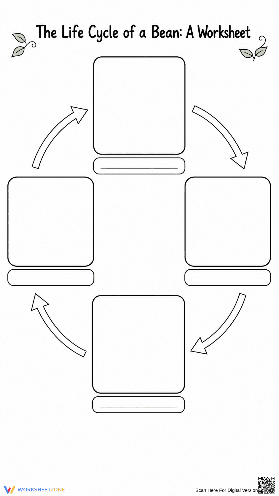 Life Cycle of a Bean Worksheet | Grade 3 Essential - Page 3