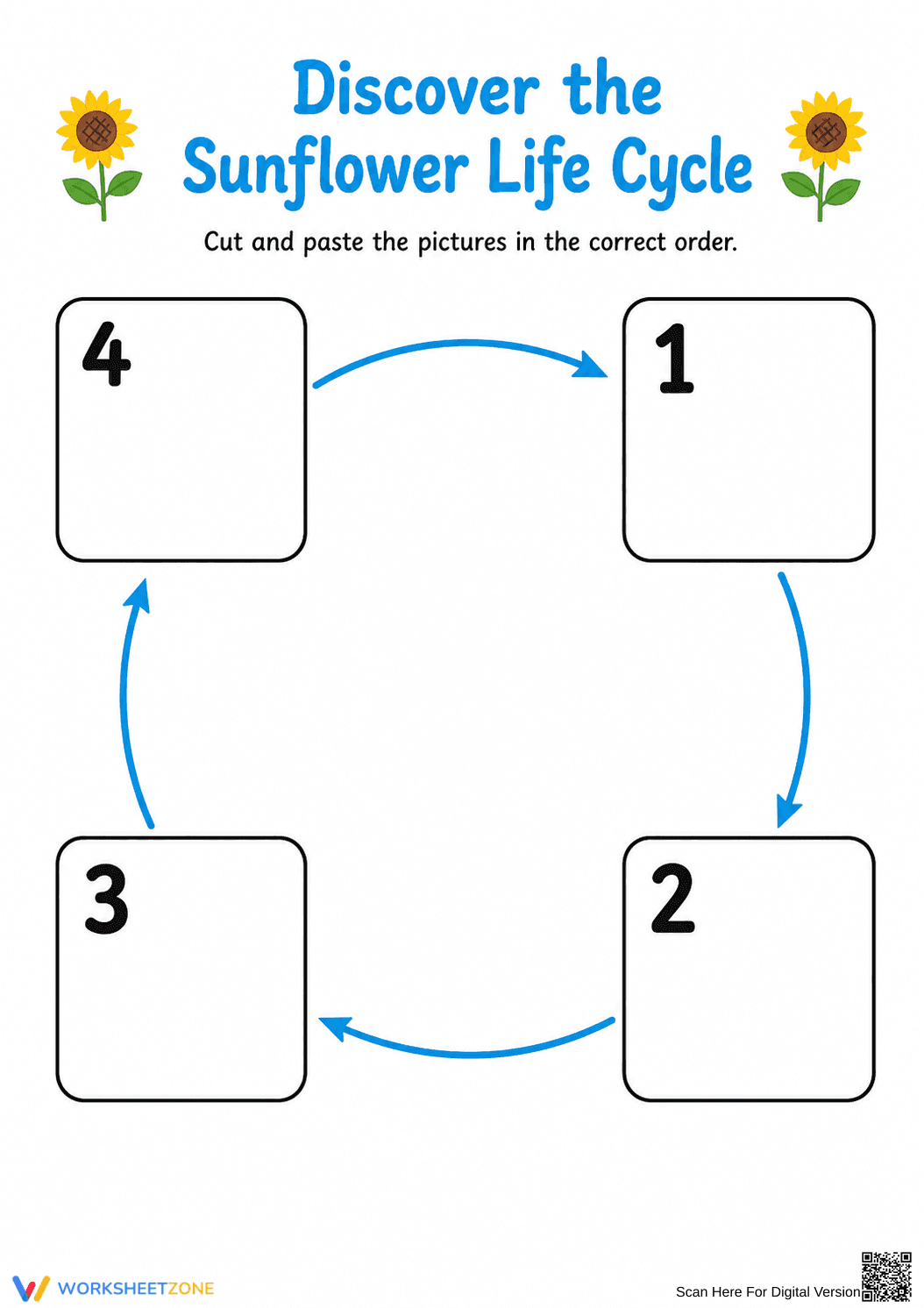 Sunflower Life Cycle Worksheet (3 Levels) | Grade 3 Ready - Page 2