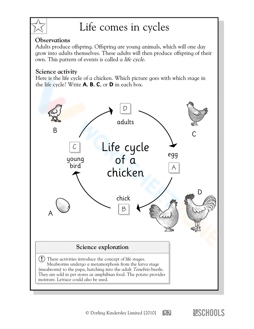 Life Comes in Cycles: Exploring Nature's Rhythms - Page 2