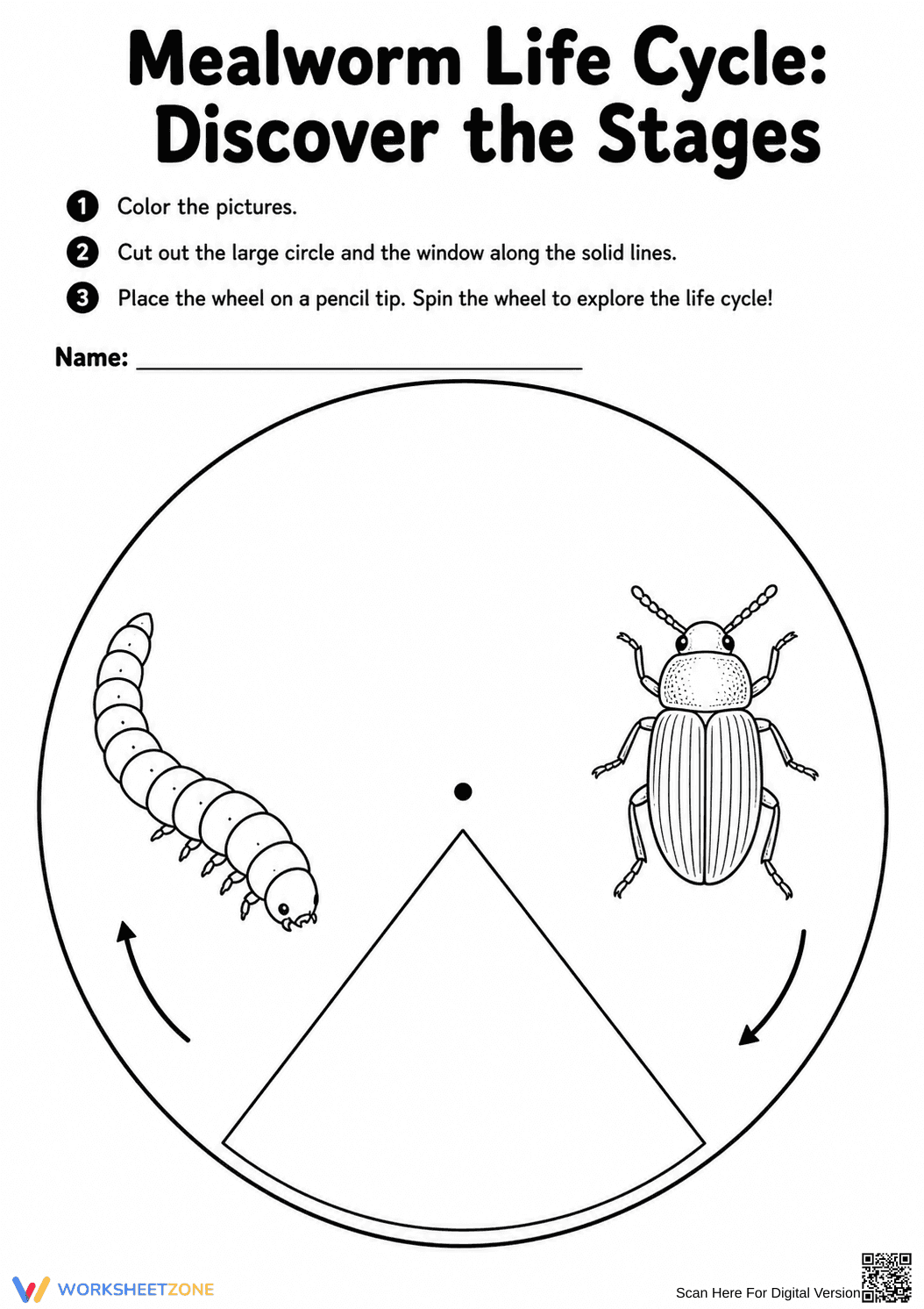 Mealworm Life Cycle Wheel | Essential Grade 3 Science - Page 2
