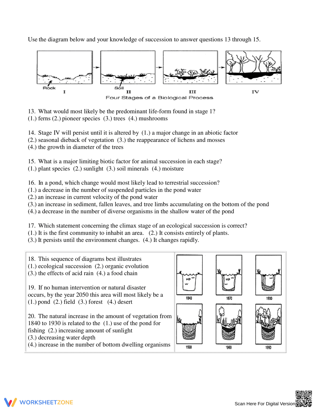 Explore Ecological Succession - Page 2