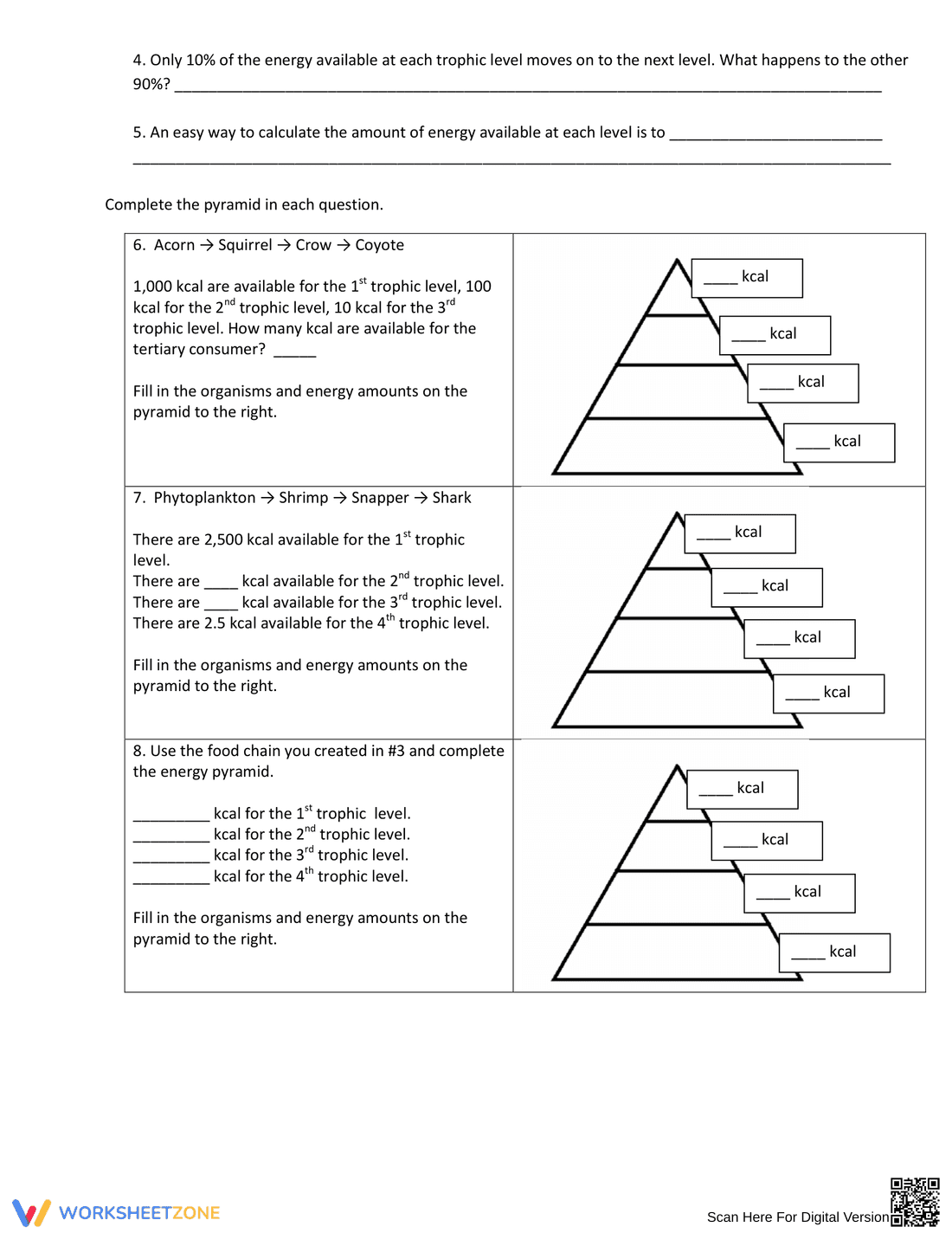 Energy Pyramid Practice Worksheet - Page 2
