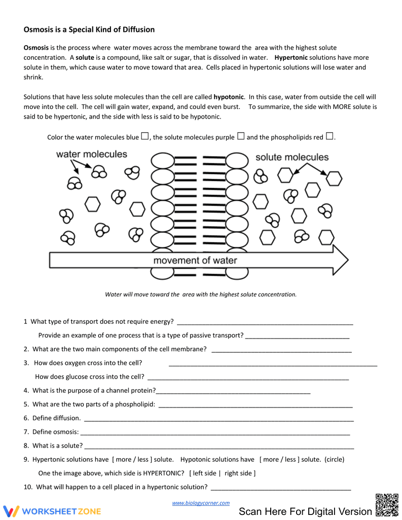 Cell Membrane and Transport - Page 2