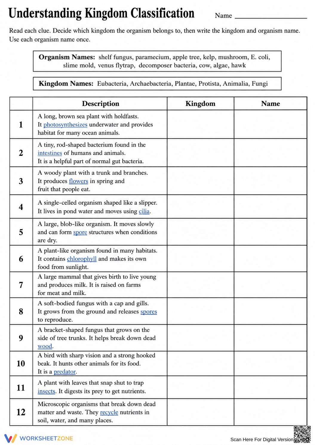 Kingdom Classification Essential Worksheet | Grade 10-12 - Page 2