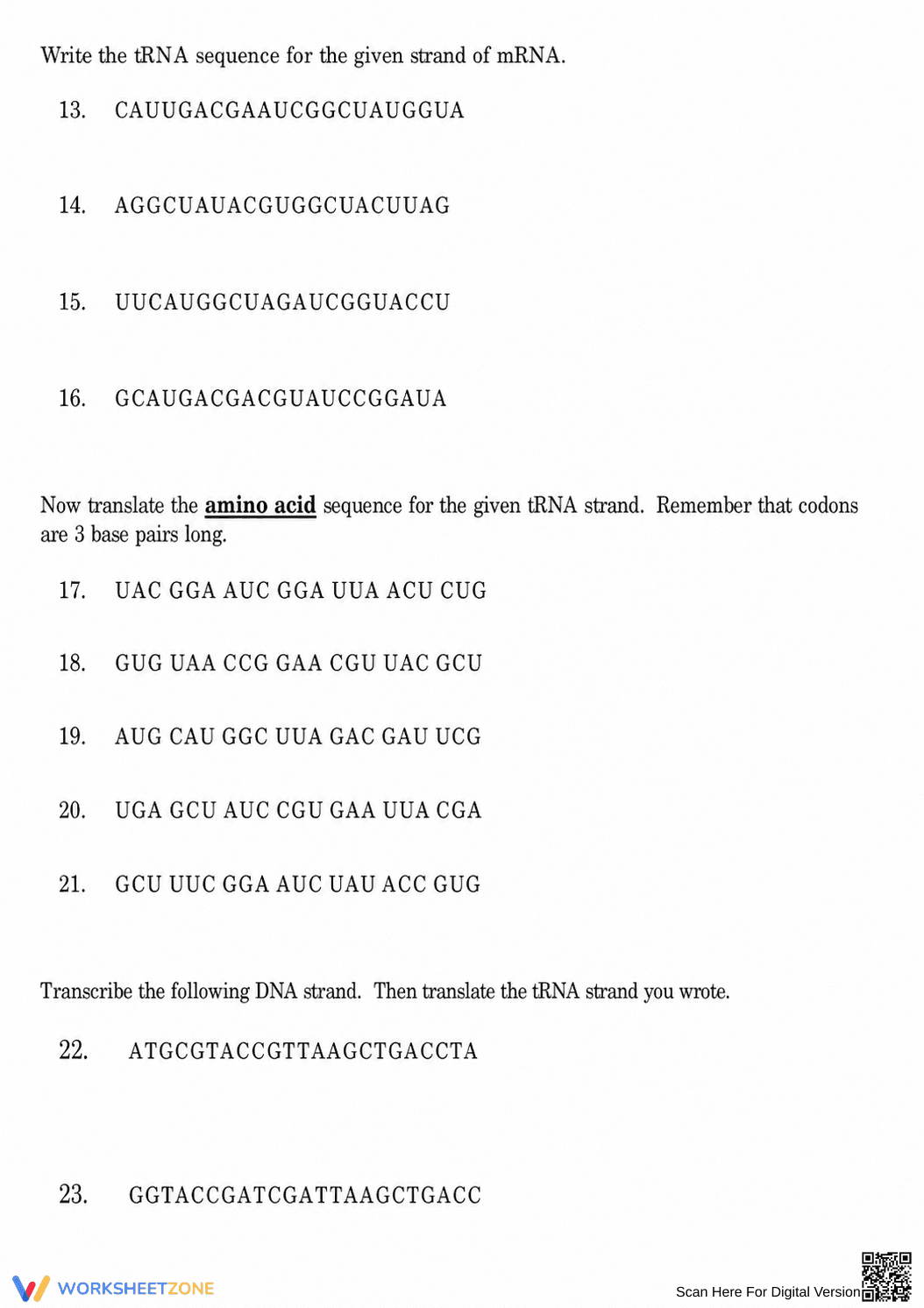 DNA Base Pairing Worksheet | Essential Grade 9-12 Biology - Page 2