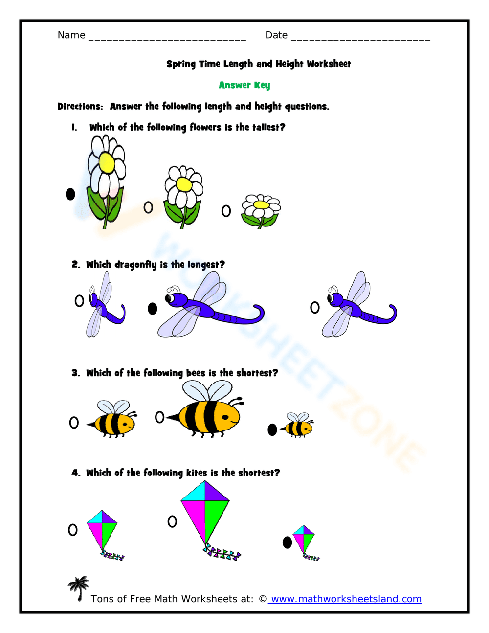 Spring Length and Height Measurement Worksheet - Page 2