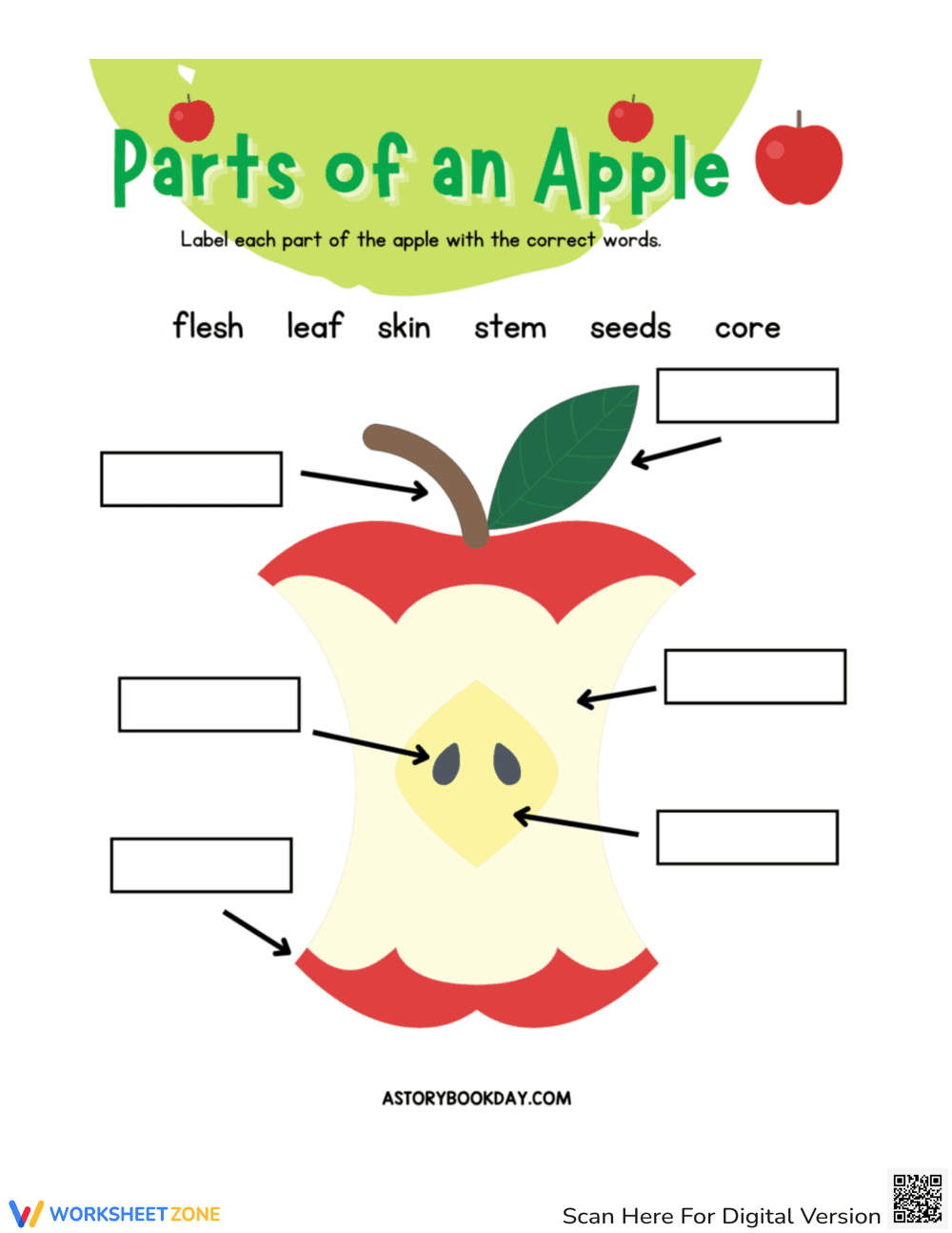 Learn Parts of an Apple with This Worksheet - Page 2