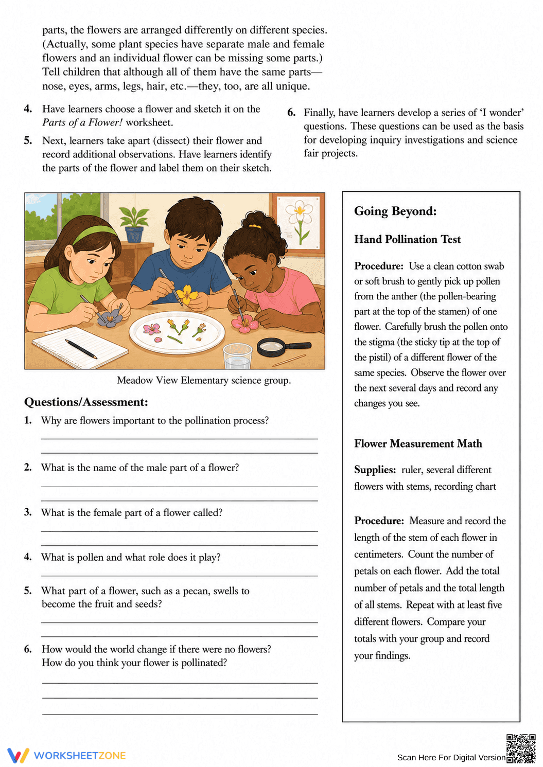 Flower Dissection Printable Guide | Grade 6 Science - Page 2
