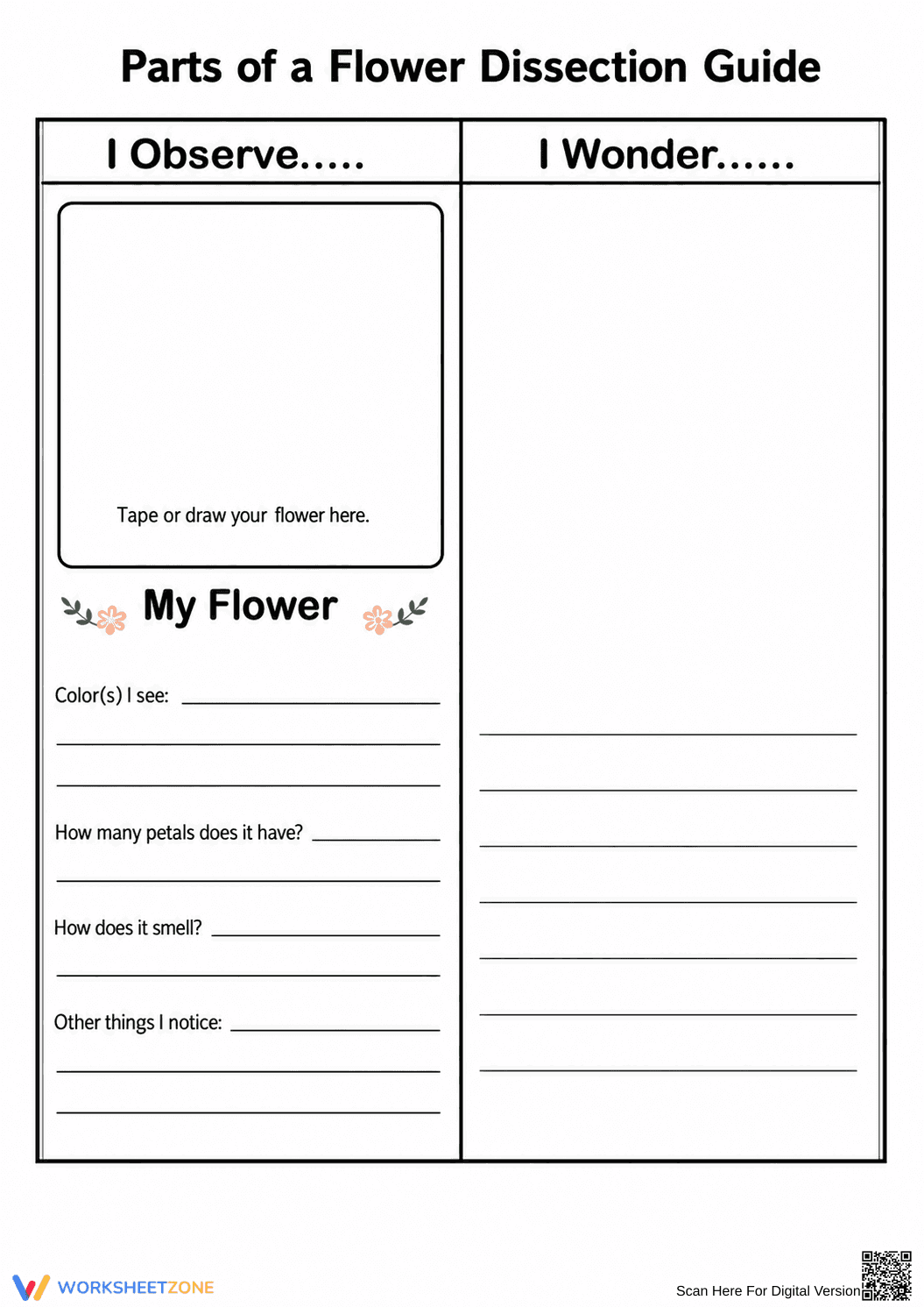 Flower Dissection Printable Guide | Grade 6 Science - Page 3