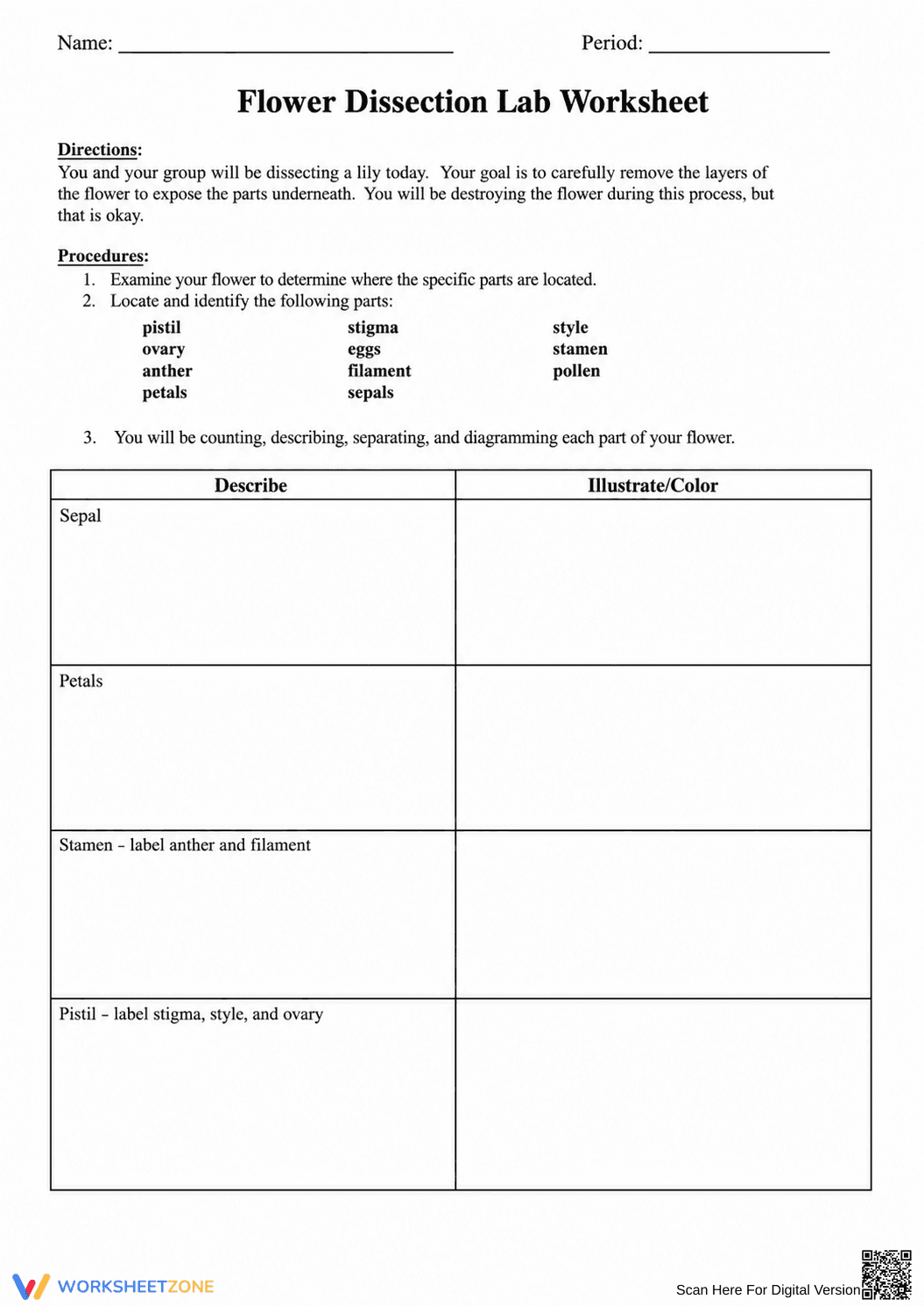 Flower Dissection Lab Worksheet | Essential Science Guide - Page 2