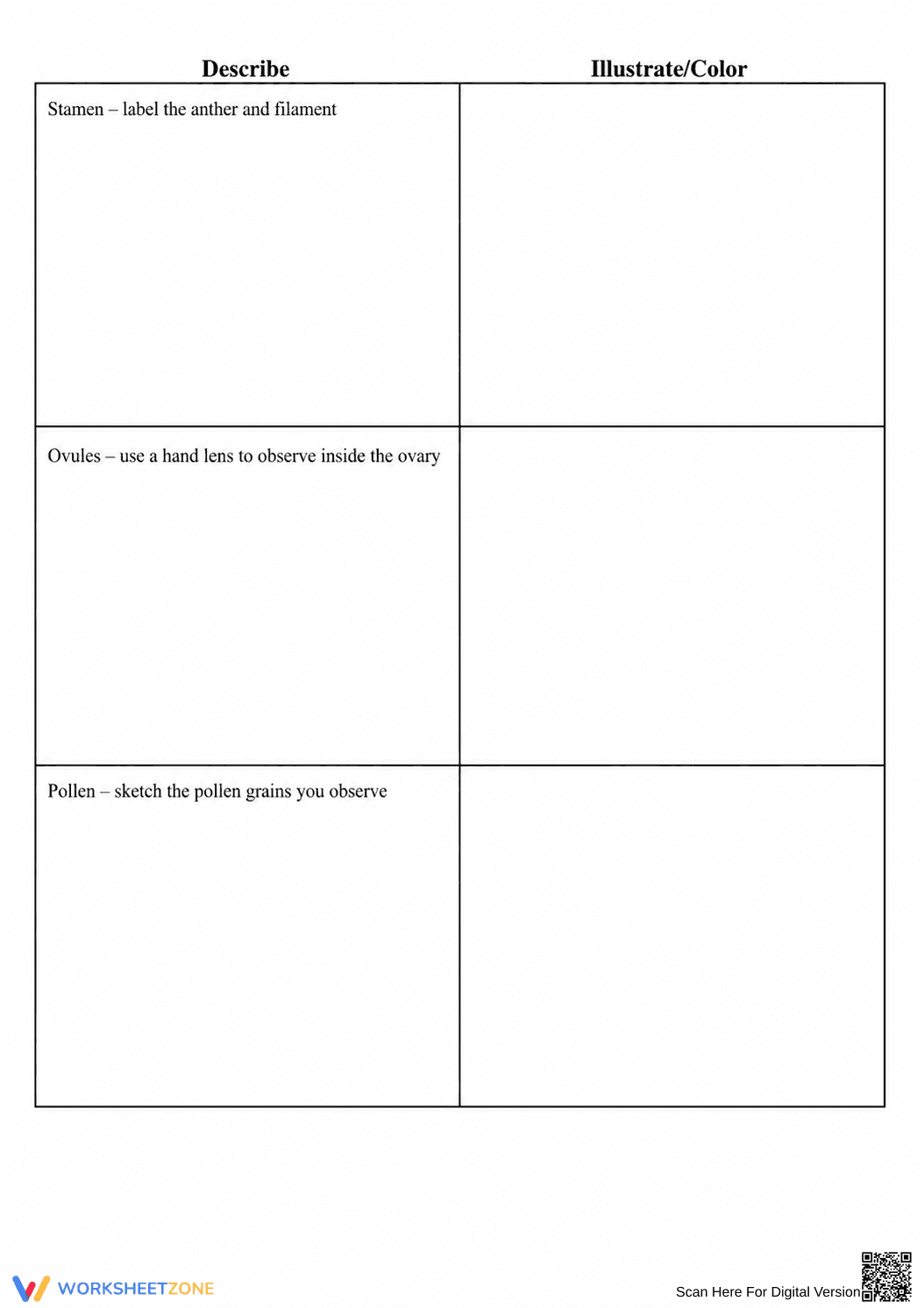 Flower Dissection Lab Worksheet | Essential Science Guide - Page 3