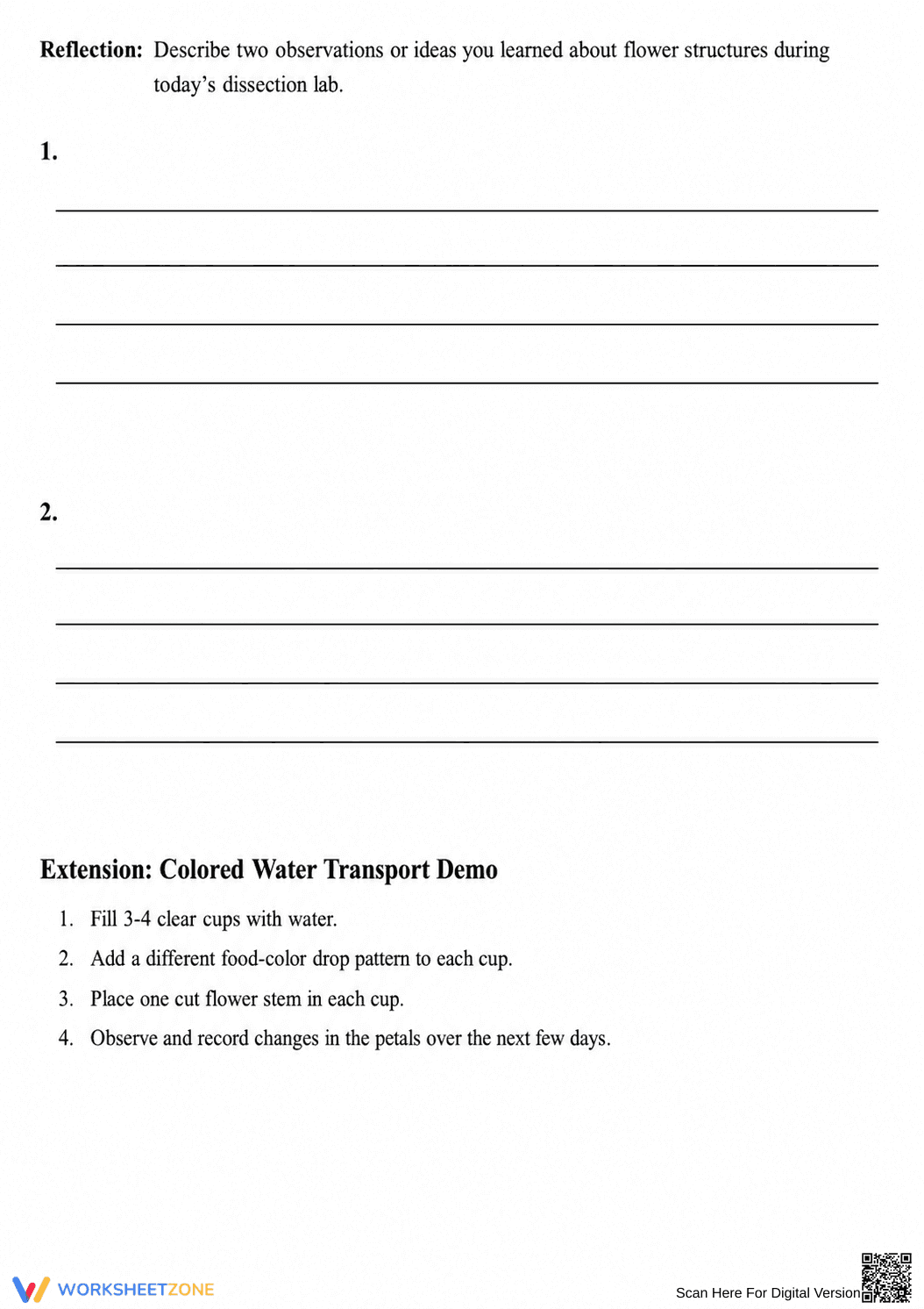 Flower Dissection Lab Worksheet | Essential Science Guide - Page 4