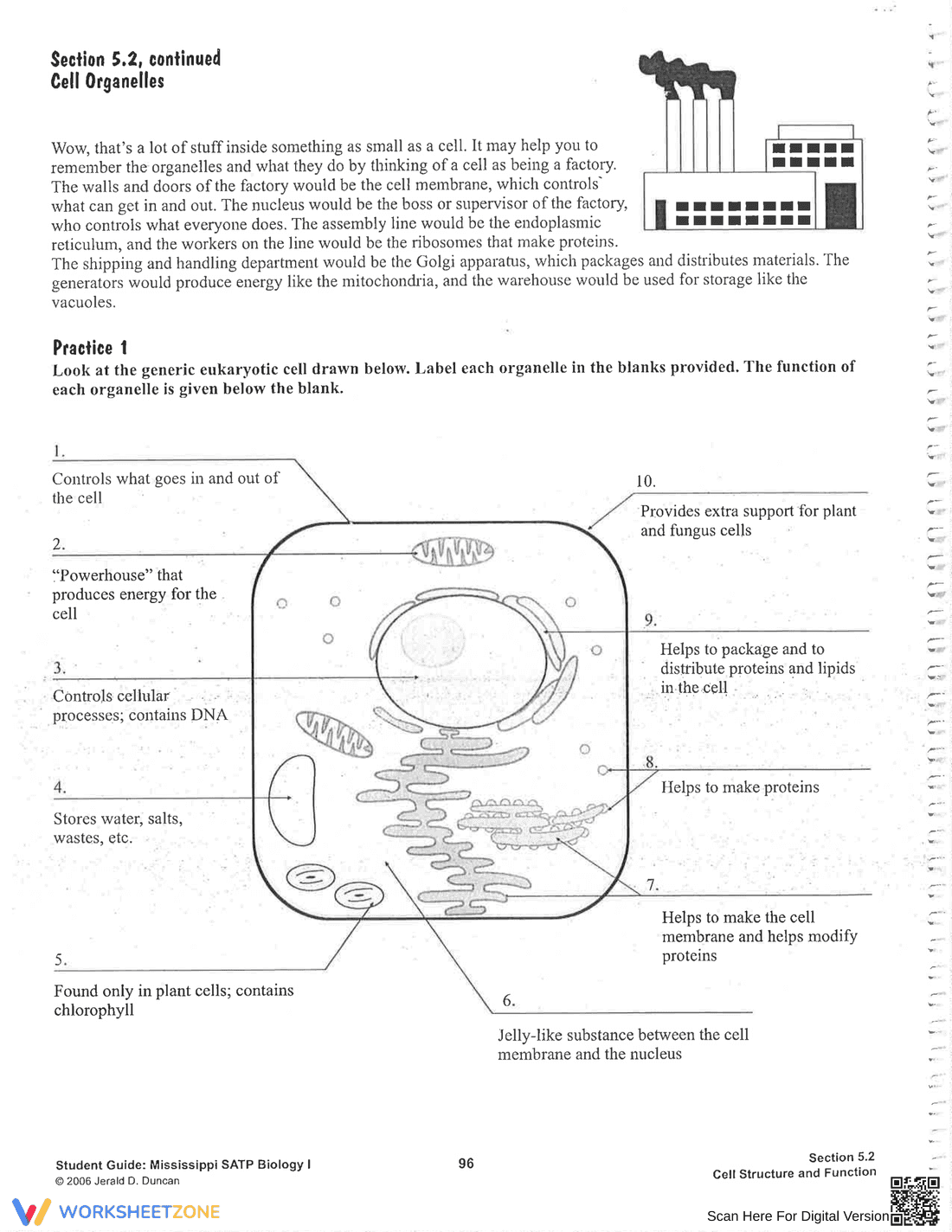 Explore Cell Structure and Function - Page 4