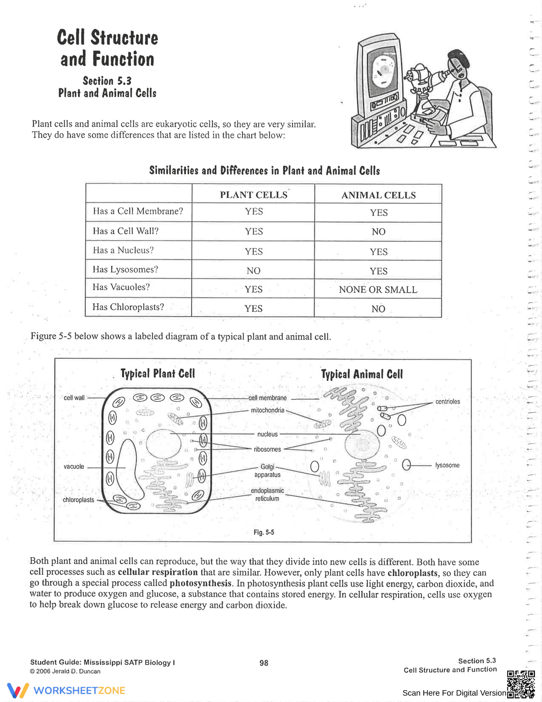 Explore Cell Structure and Function - Page 6
