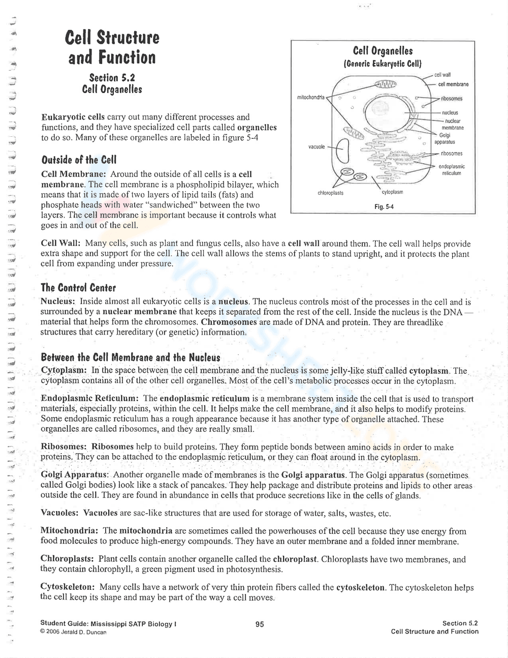 Explore Cell Structure and Function - Page 3