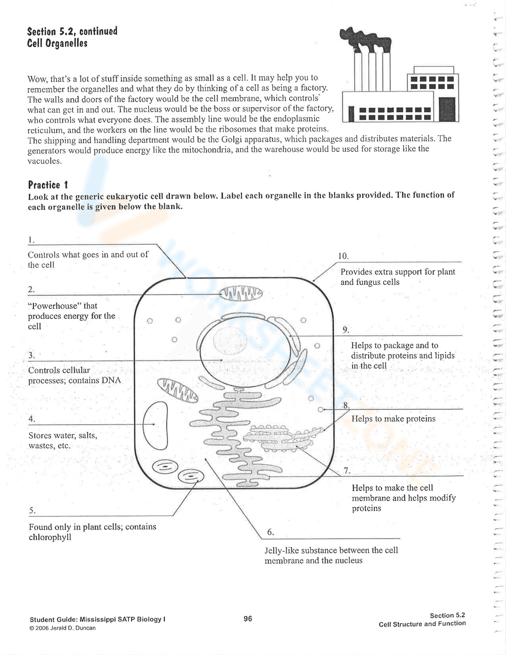 Explore Cell Structure and Function - Page 4