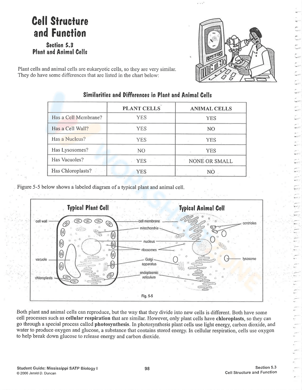 Explore Cell Structure and Function - Page 6