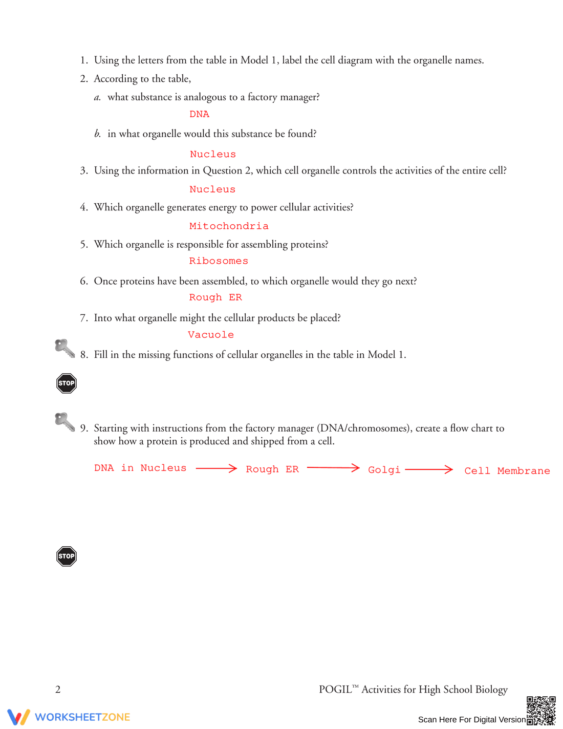 Learn Organelles in Eukaryotic Cells - Page 2