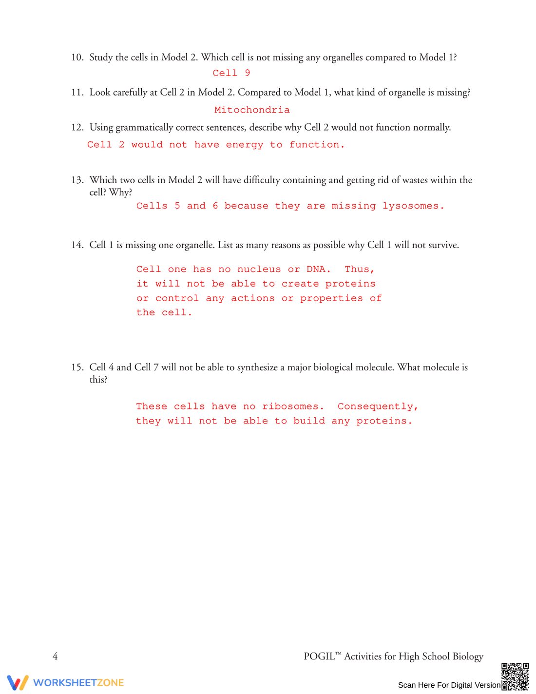 Learn Organelles in Eukaryotic Cells - Page 4