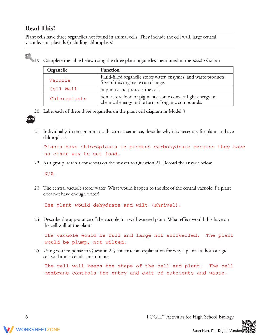 Learn Organelles in Eukaryotic Cells - Page 6