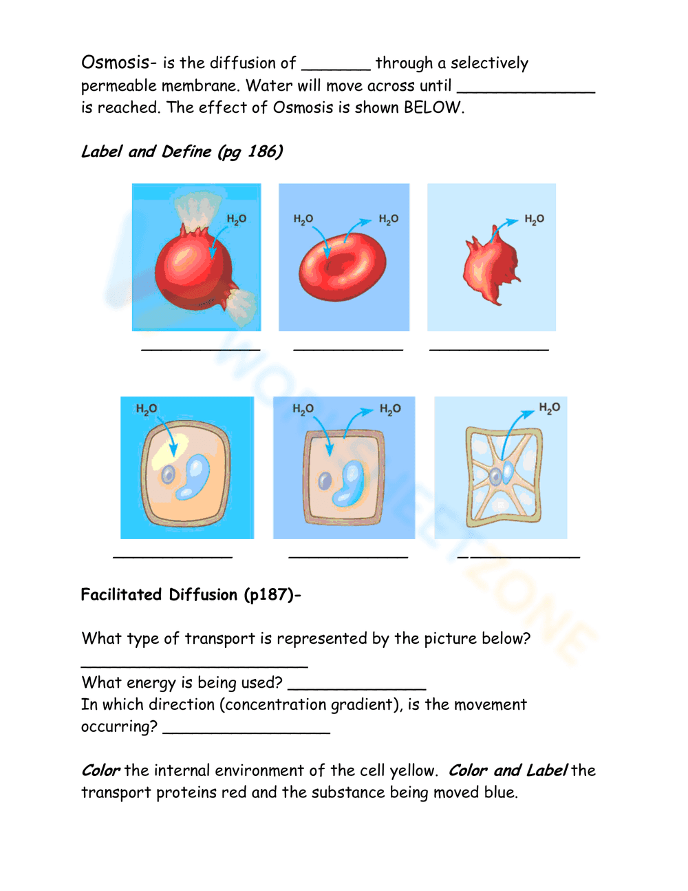 Cell Membrane: Structure and Function Guide - Page 2