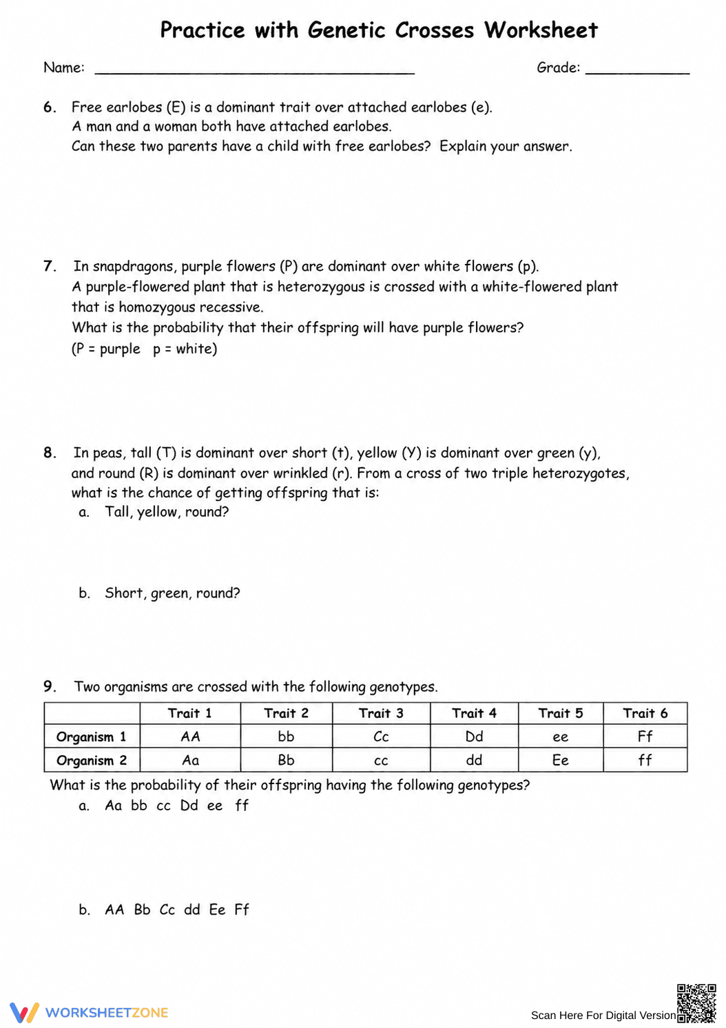 Genetic Crosses Practice Worksheet | Essential Biology - Page 2