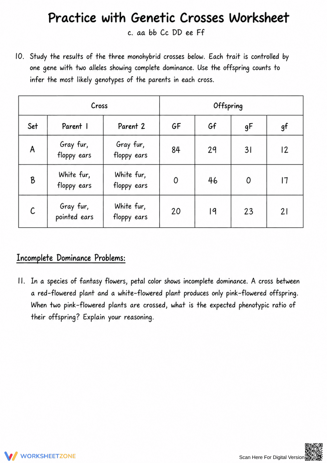 Genetic Crosses Practice Worksheet | Essential Biology - Page 3