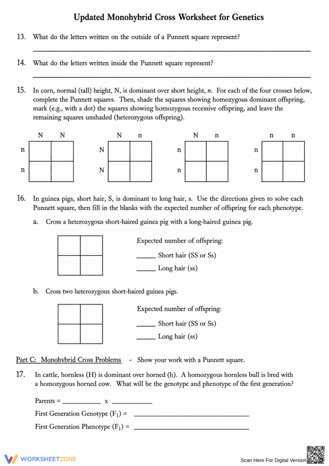 Essential Monohybrid Cross Worksheet | Grade 9-12 Biology - Page 2